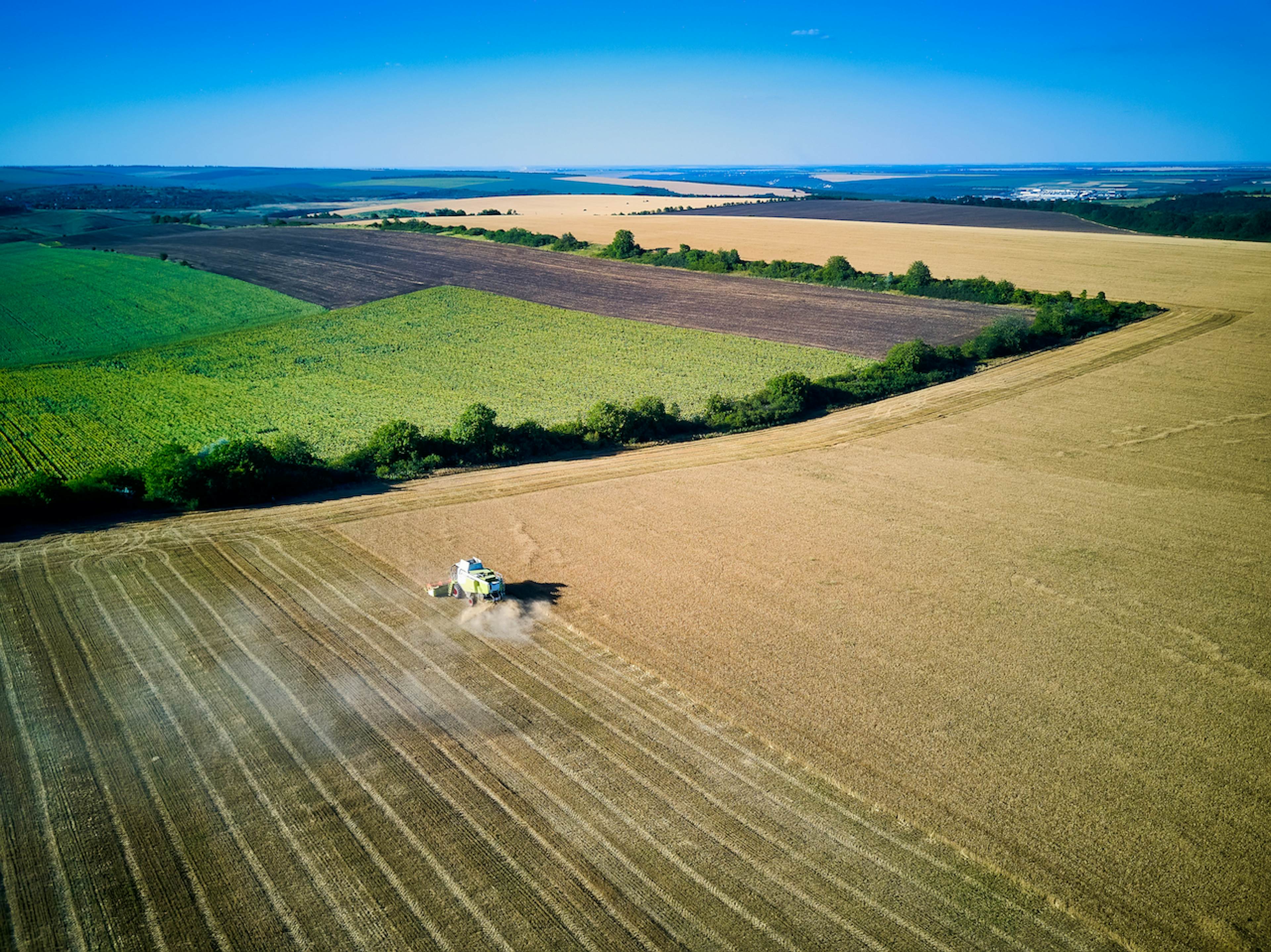 farming land and crops