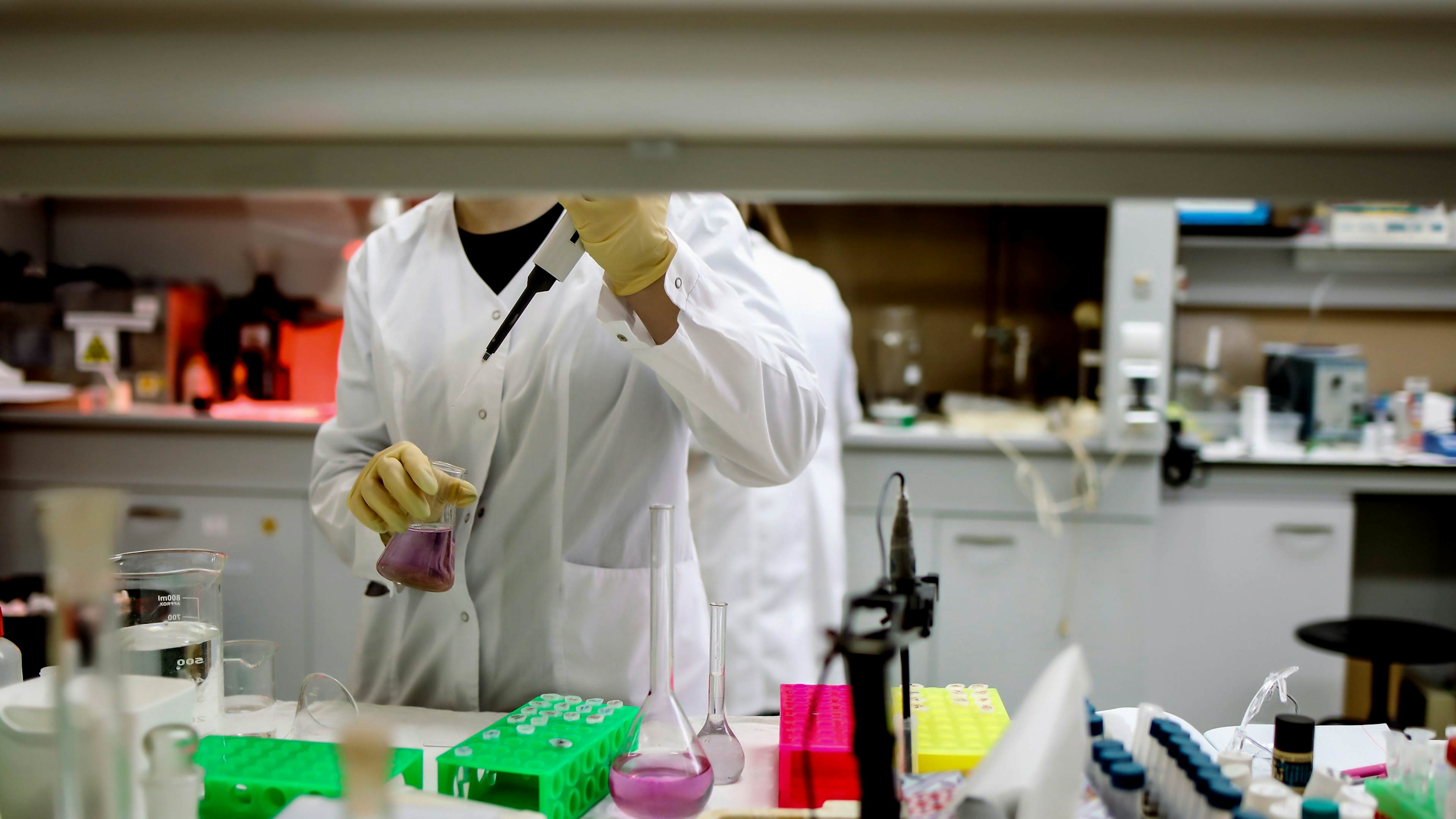 scientist working in laboratory