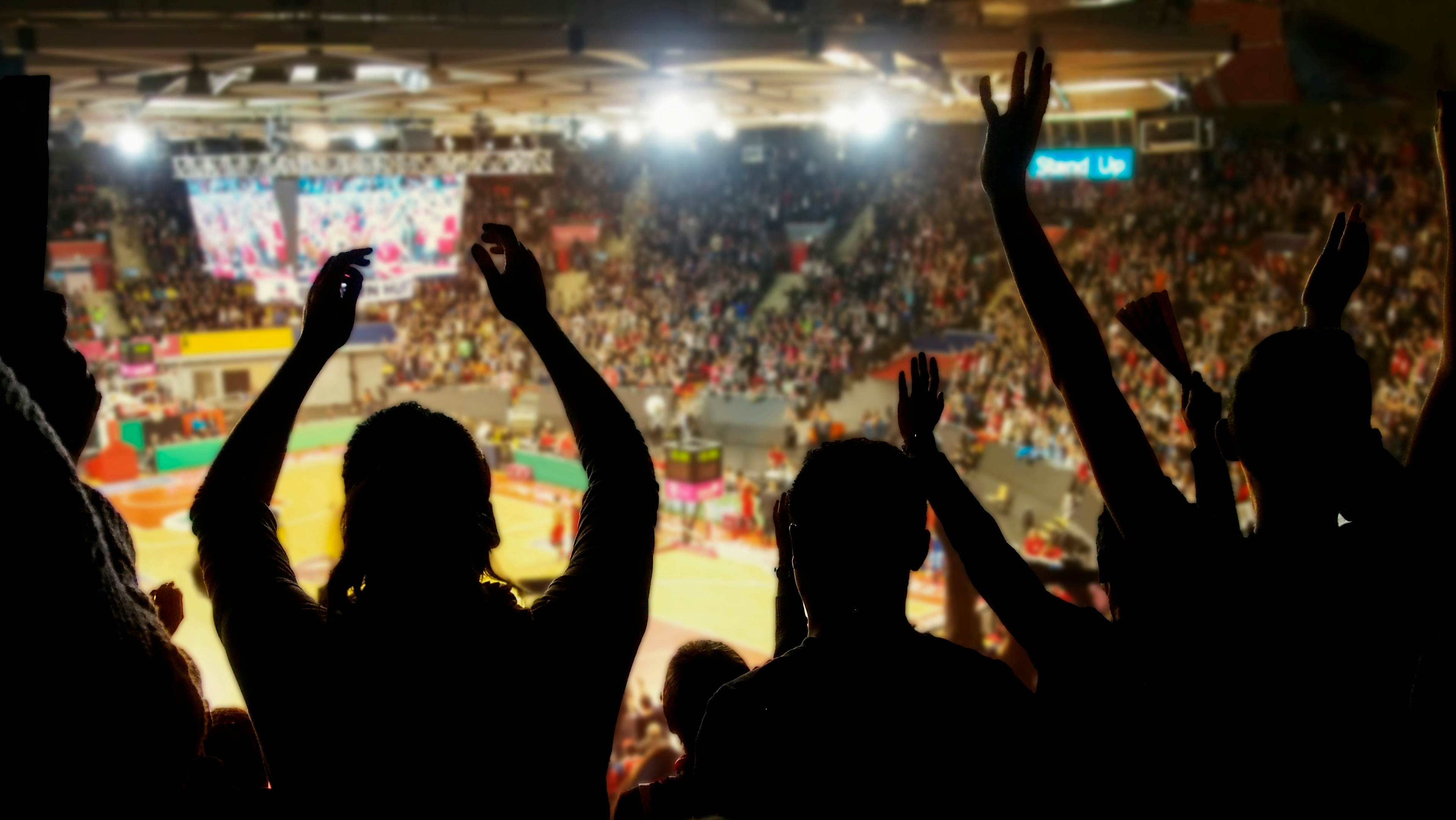 Crowd cheering at a basketball game
