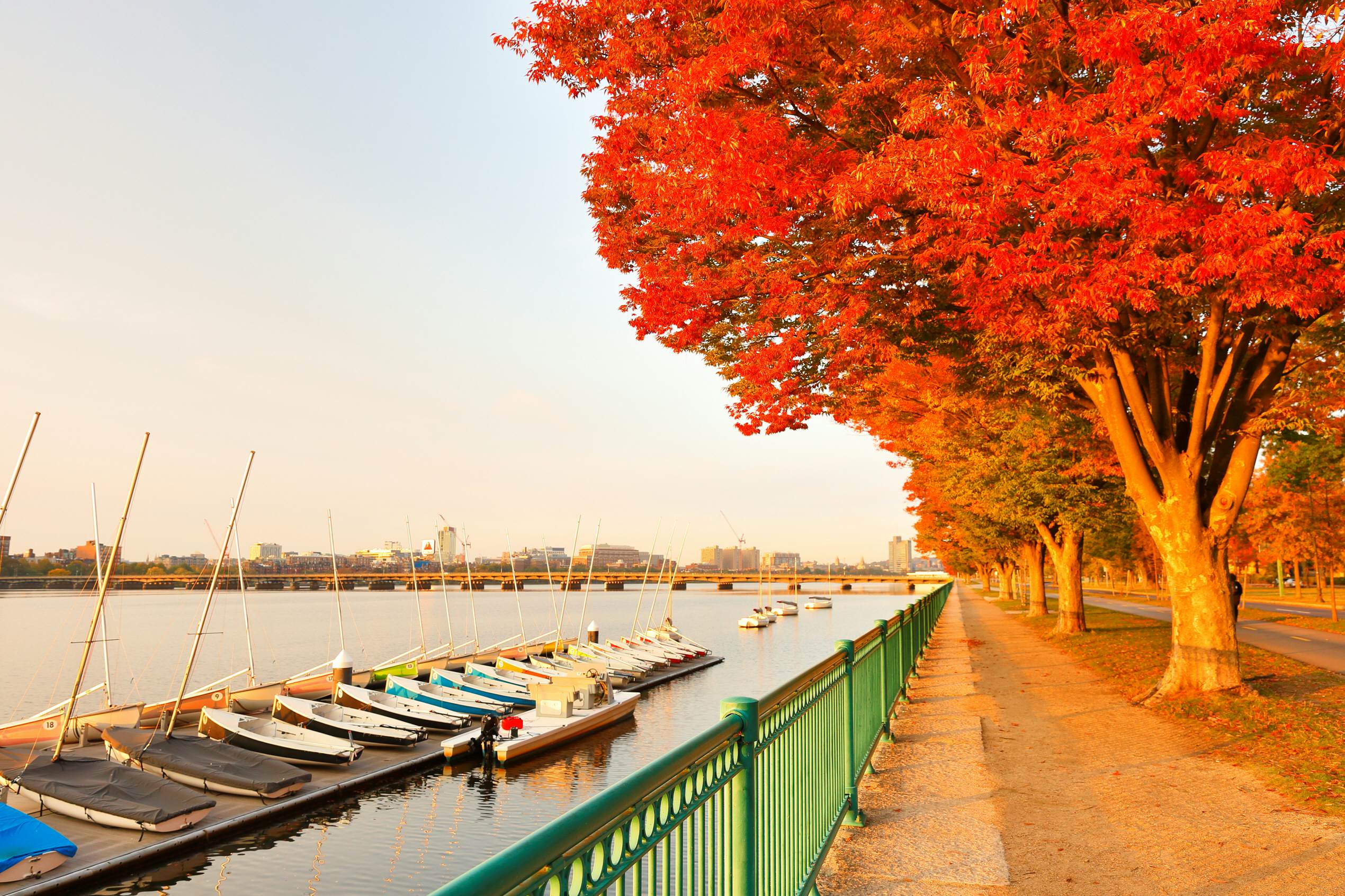 Charles River in Autumn