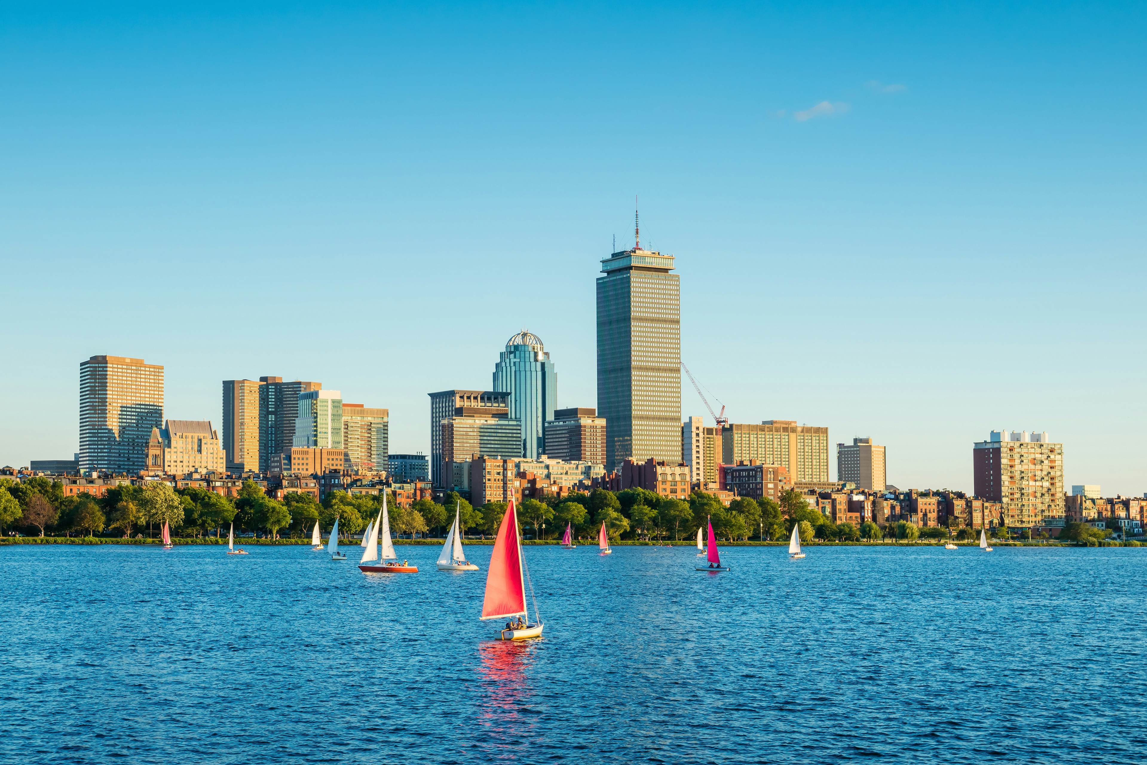 Boston skyline with sailboats