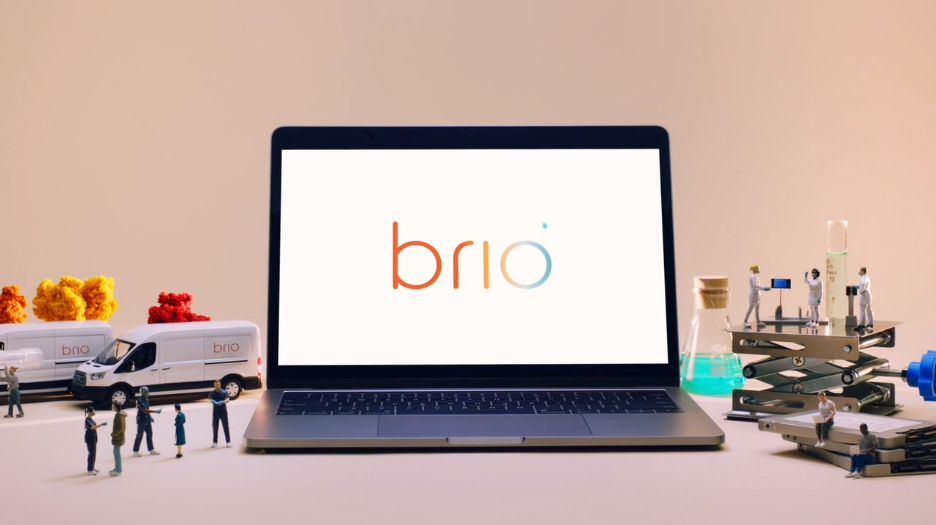 Brio on computer