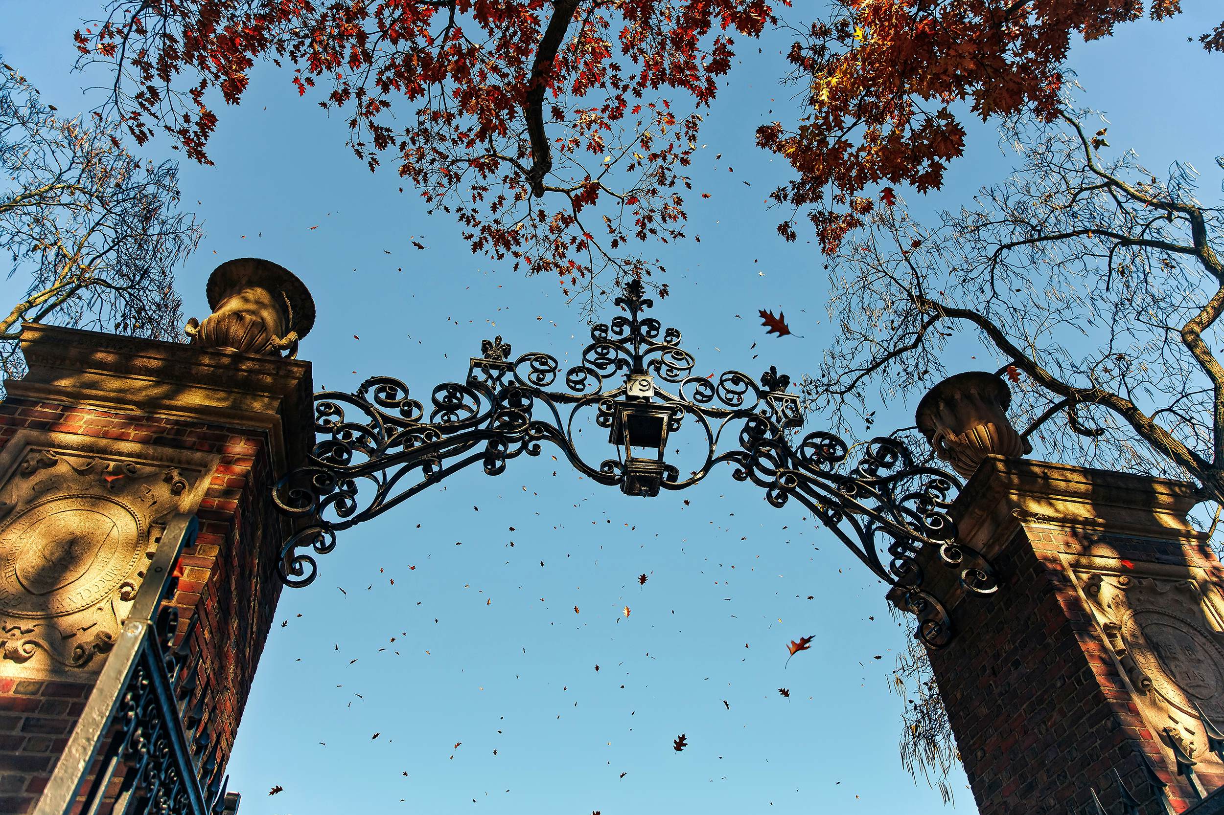 Harvard gates in autumn