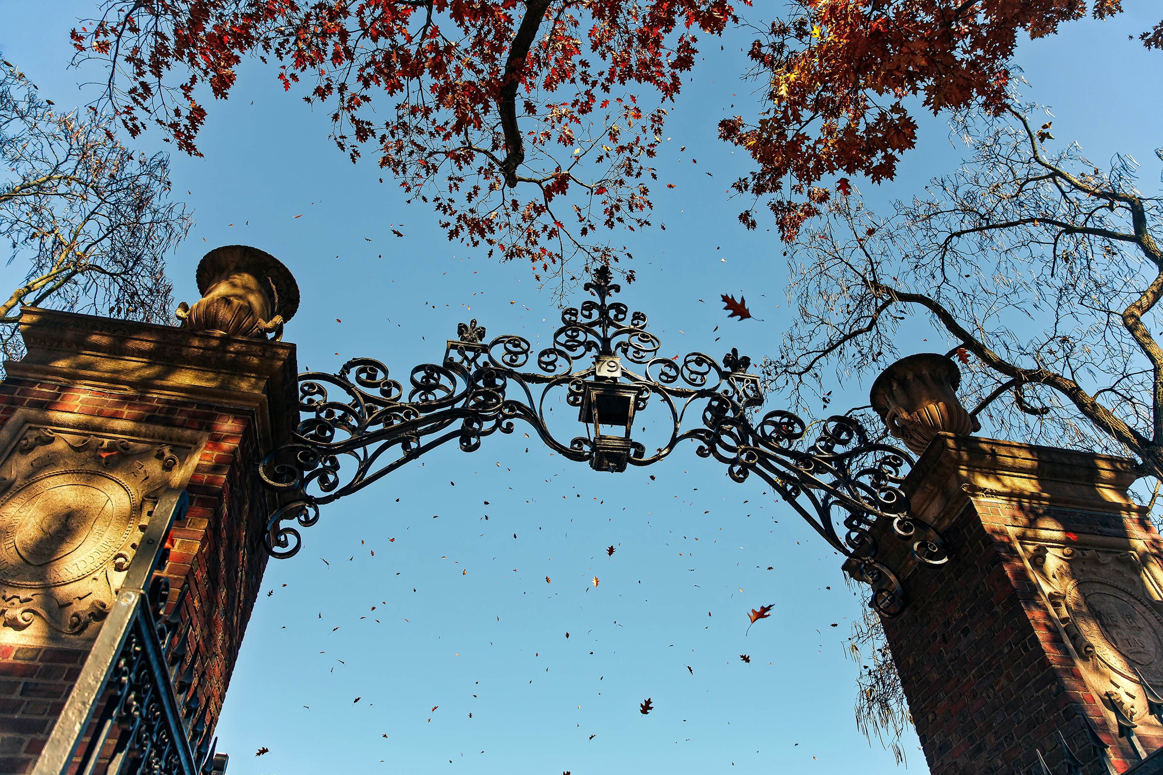 Harvard gates in autumn