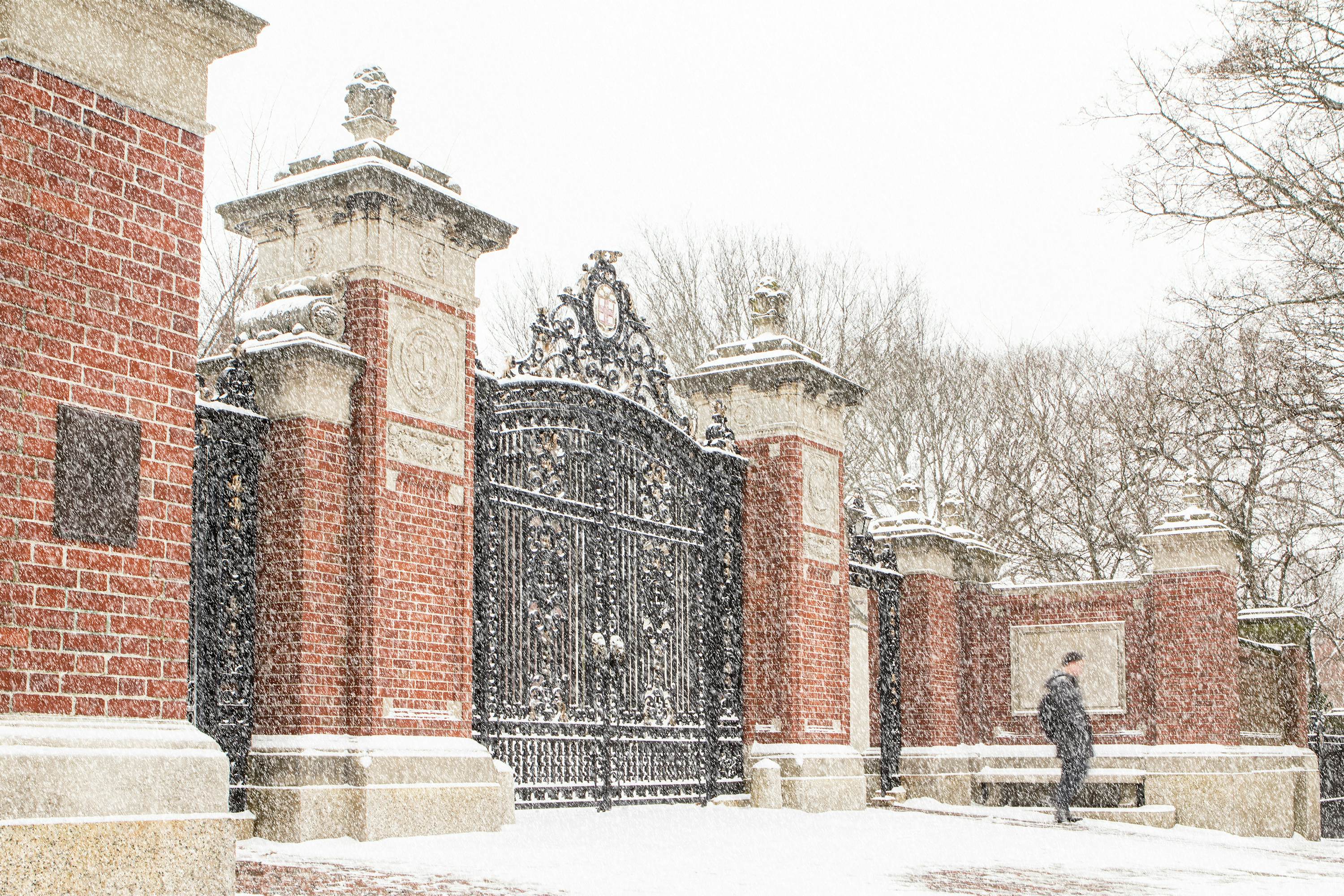 Brown gates in snow