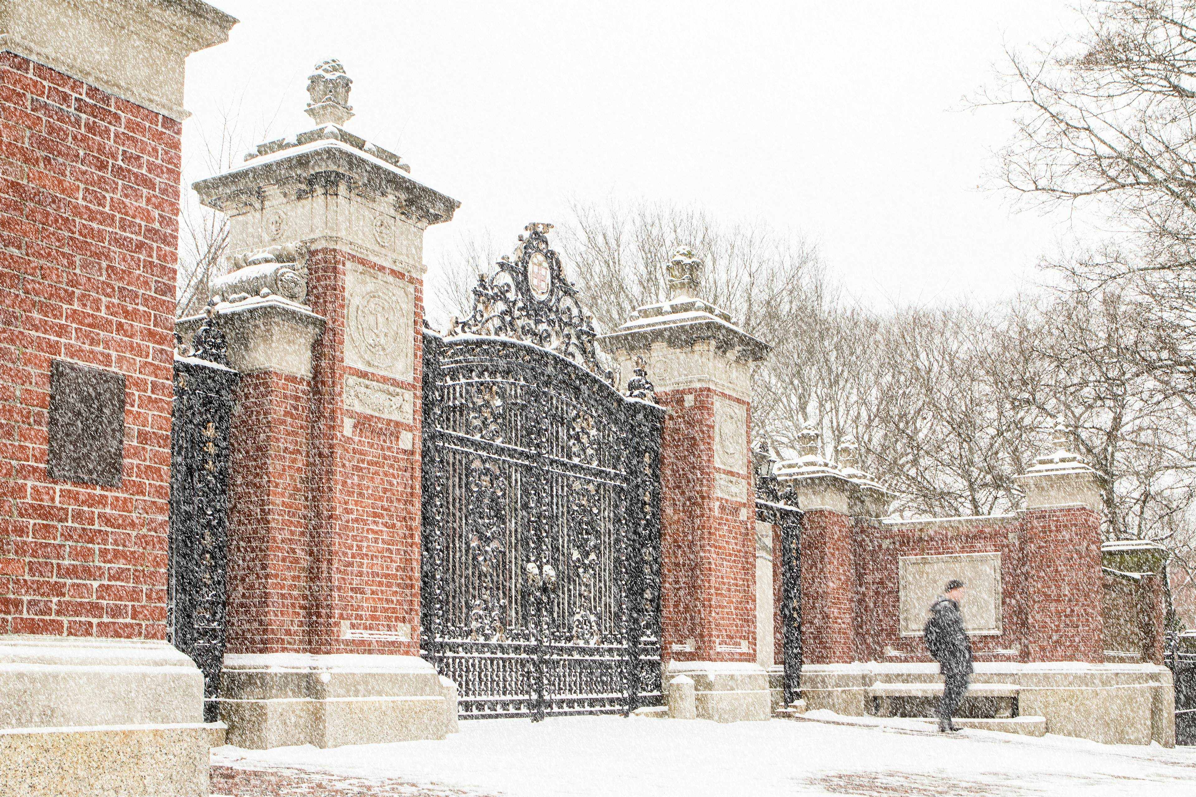 Brown gates in snow
