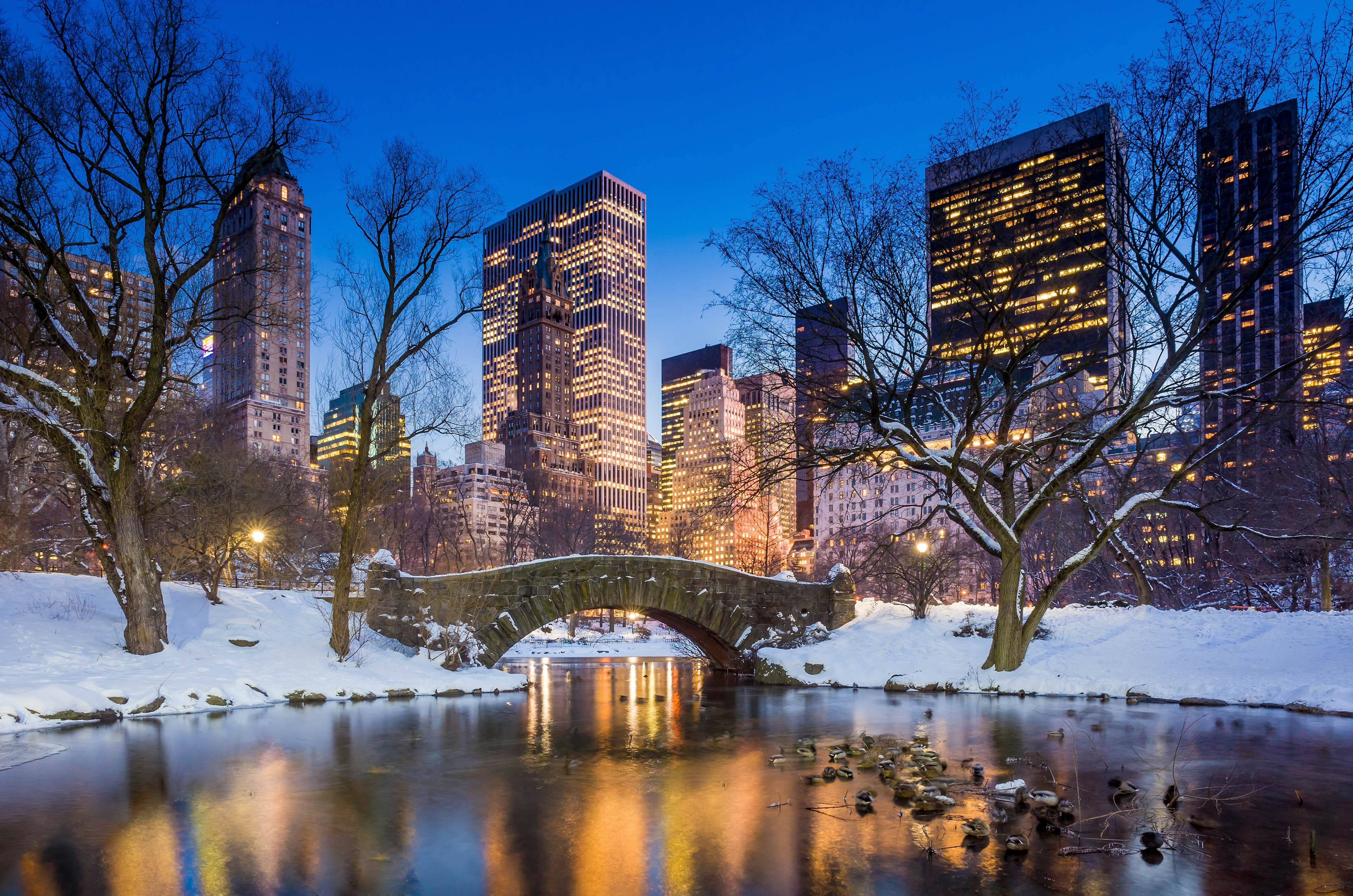 Central park bridge in winter