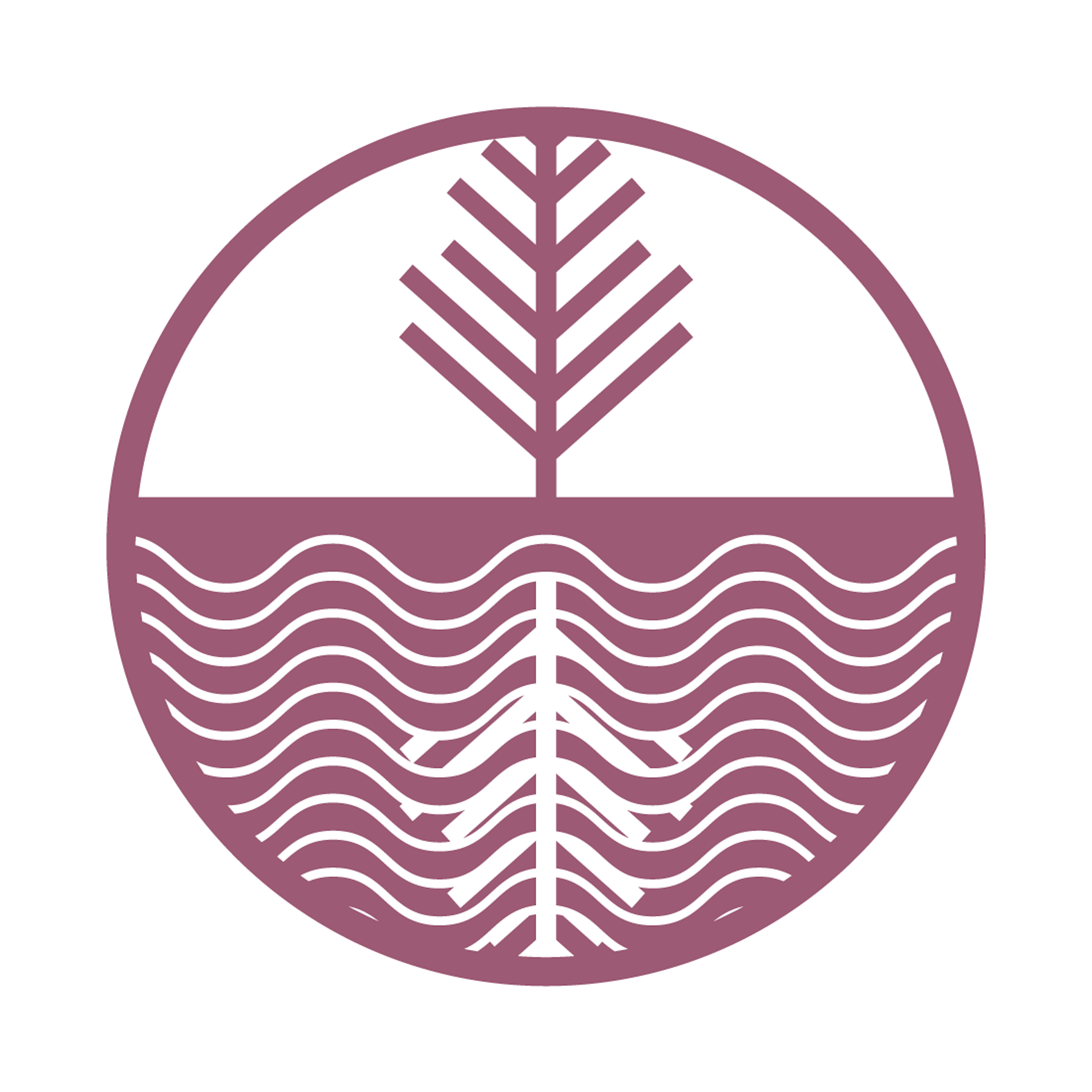 Ohio State: Mirror Lake Ventures logo