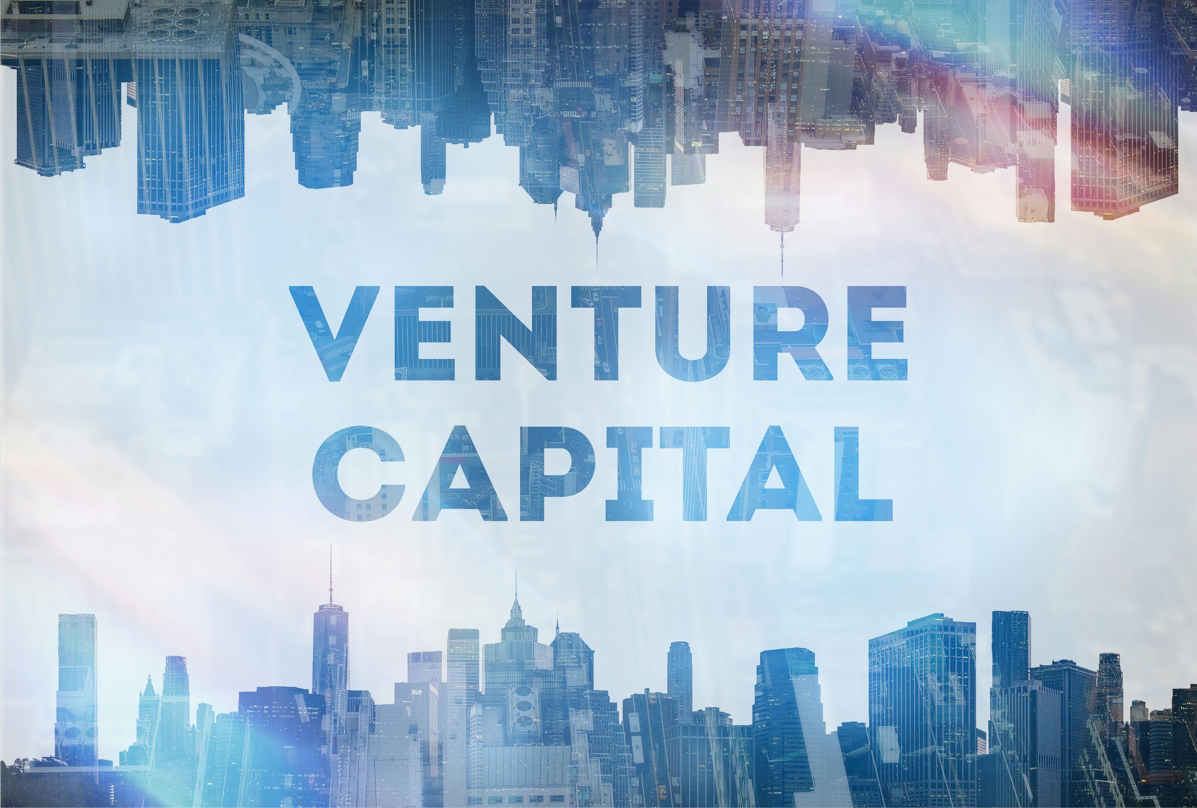 VC 101: Key VC Terminology for Savvy Investors - Alumni Ventures