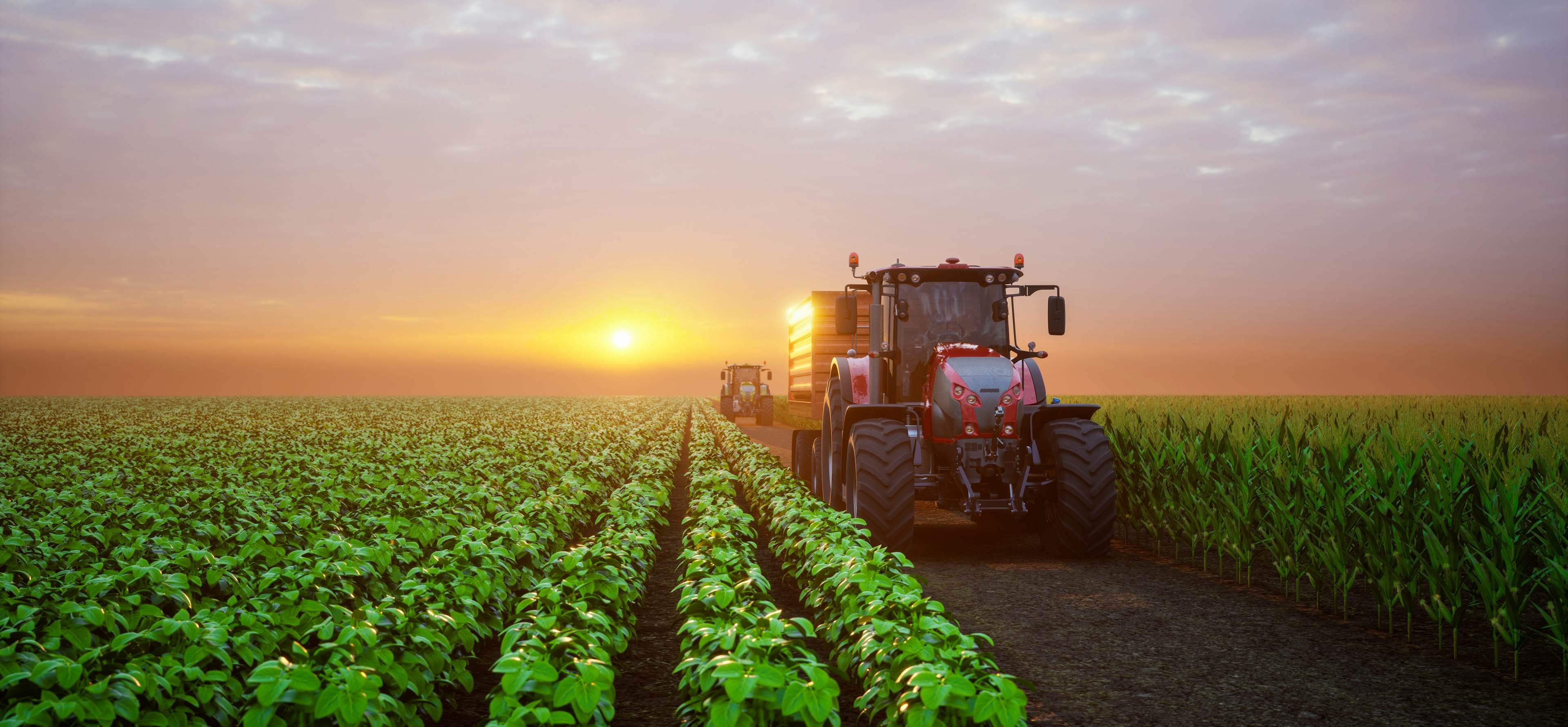 Autonomous tractors harvest crops at sunrise across a vast, high-tech farming field.