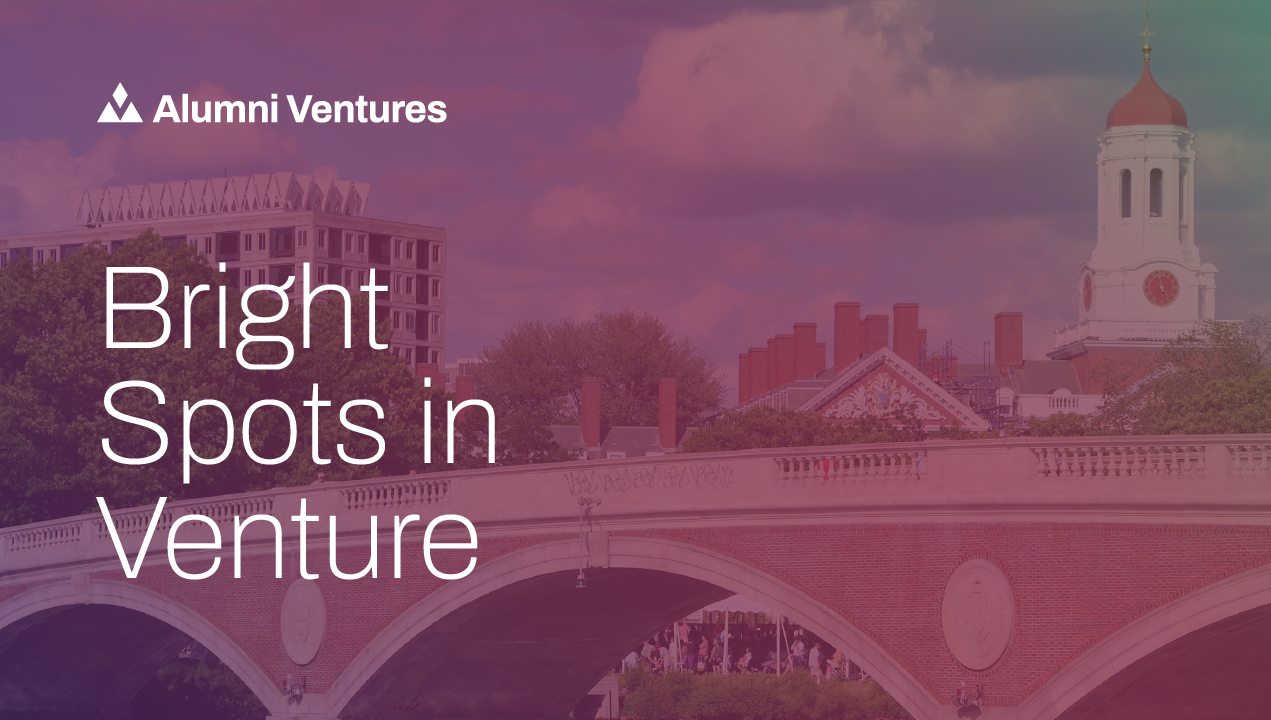Banner titled Bright Spots in Venture with a pink background and bridge