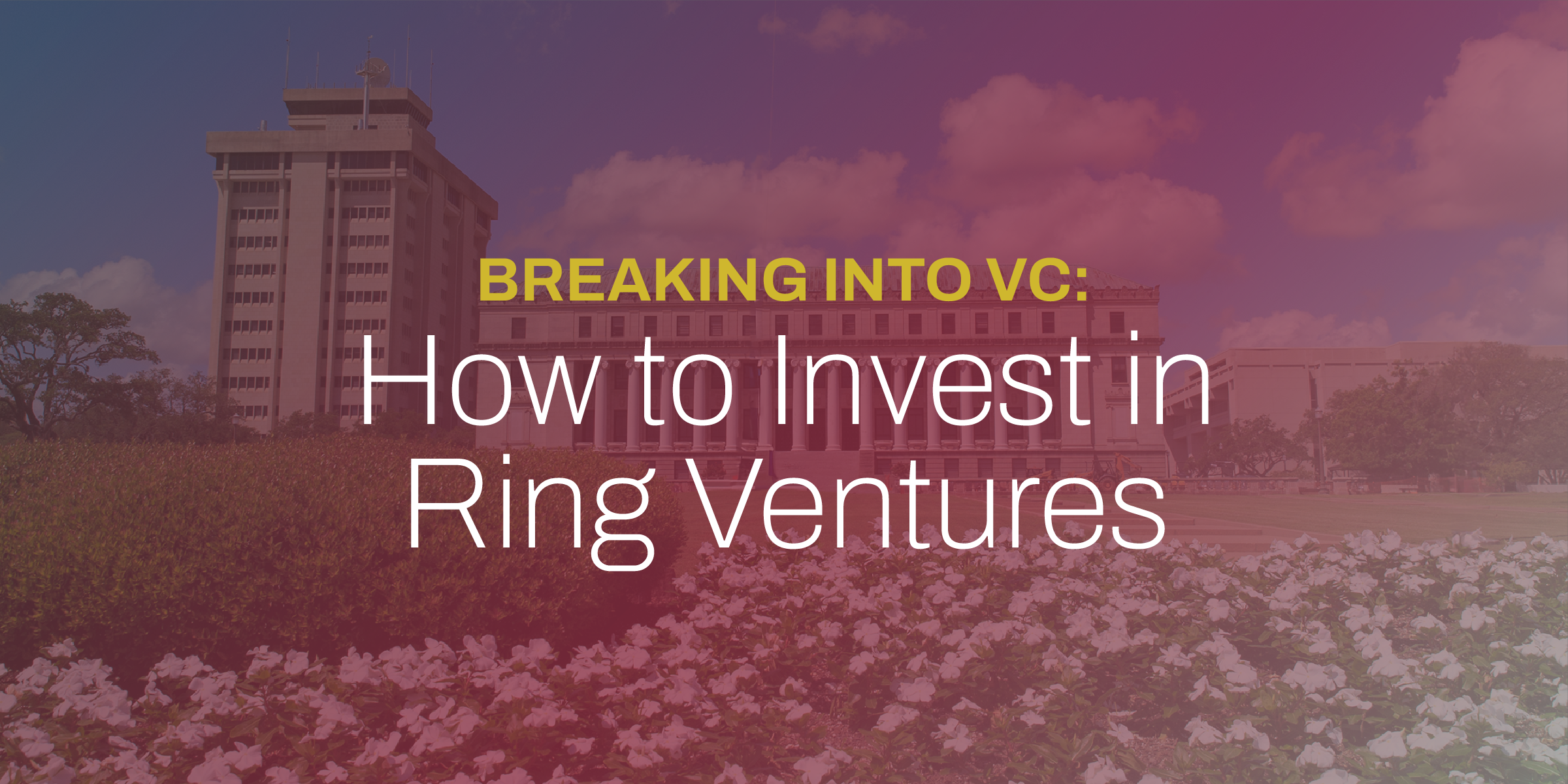 Breaking into VC: How to Invest in Ring Ventures