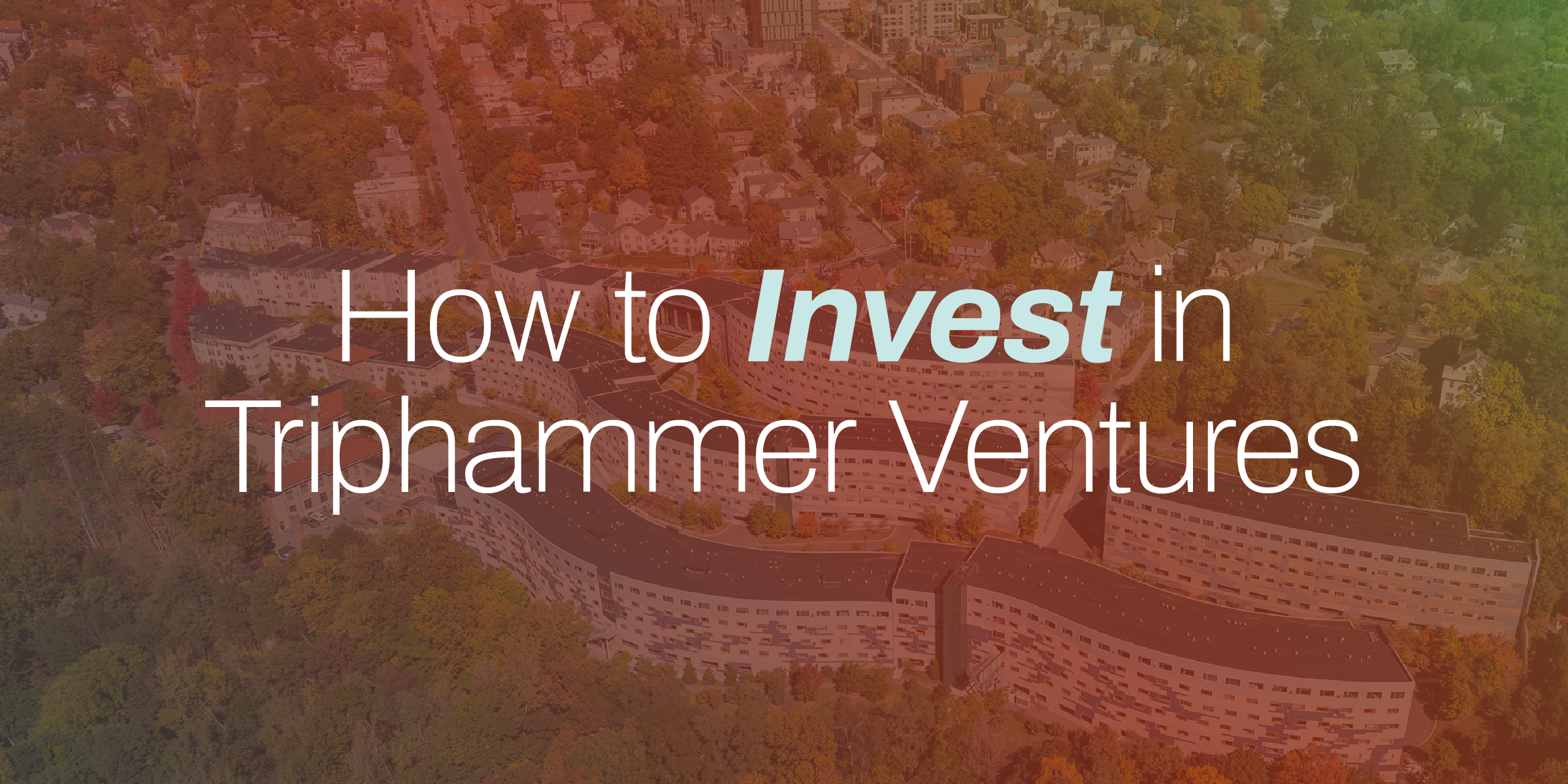 how to invest in triphammer ventures